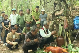 Unique forest worship ritual of Jrai ethnic people