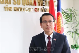 Vietnamese Ambassador to New Zealand Nguyen Van Trung (Photo: VNA)