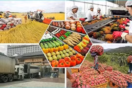Vietnam gains 28.04 billion USD from exporting agro-forestry-fishery products in the first five months of the year. (Photo: congthuong.vn)