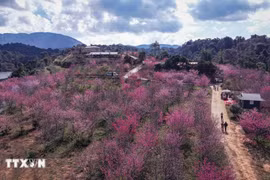 Tourism in Dien Bien shows strong start in early 2026