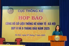 NSO Director Nguyen Thi Huong says that the global situation develops in a complicated and unpredictable fashion in the first half of the year. (Photo: VietnamPlus)