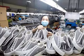 The domestic footwear and handbag industry's biggest challenges are new standards on sustainable development of major importing countries. (Photo: VNA)