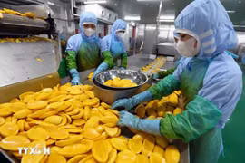 Agricultural products processed for export (Photo: VNA)