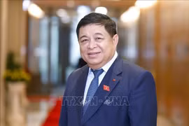 Deputy Prime Minister Nguyen Chi Dung (Photo: VNA)