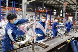 Bike production at Thong Nhat Company Limited (Photo: VNA) 