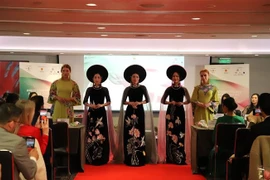Vietnamese “ao dai” shines on global stage
