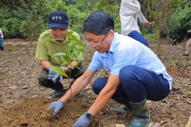 Attendees take part in planting trees at the Cuc Phuong National Park. (Photo: VNA)