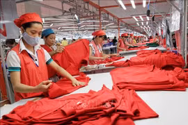 At Star Fashion Company Limited's factory specialising in the production of knitwear and sportswear for export to the US market. (Photo: VNA)