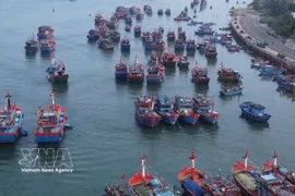 Quang Tri tightens fishing fleets control to combat IUU fishing