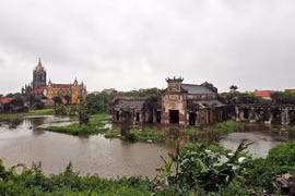 Weekly highlights: Typhoon Wipha leaves widespread damage in northern and north-central provinces