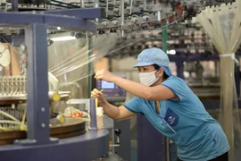 The garment and textile industry's performance has been powered by bold investments in modern production lines. (Photo: VNA)