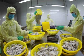 Proactive innovation key to sustaining Vietnam’s seafood export growth
