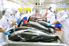 The "yellow card" has impacted Vietnamese seafood exports to the European markets. (Photo: sggp.org.vn)