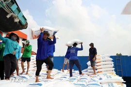 Rice loading for export (Photo: VNA)