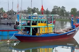 Da Nang restructures fishing fleet to protect coastal resources