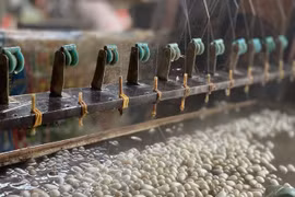 Preserving and developing the brand of Co Chat silk reeling village