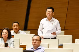 Minister of Industry and Trade Nguyen Hong Dien at the 15th National Assembly’s 9th session on June 17 (Photo: VNA)