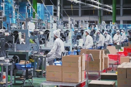 Number of newly-established firms hit record high in June