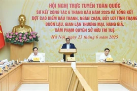 Prime Minister chairs national teleconference on fight against counterfeit goods