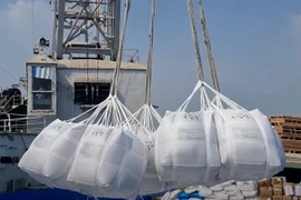 Vietnamese exporters are seeking to diversity their markets. (Photo: nongnghiepmoitruong.vn)