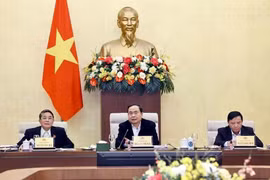 NA Chairman Tran Thanh Man speaks at the session on February 13. (Photo: VNA)