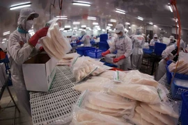 Packing tra fish fillets for export at Sao Mai Group's factory (Photo: VNA)