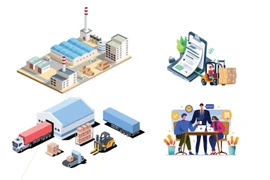 Vietnam’s manufacturing PMI hits 53.8 in November 2025