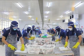 Workers at Cuu Long Fish JSC in An Giang province (Photo: VNA)