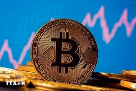 The five-year trial of the crypto market is long enough to test, evaluate, and adapt policies while ensuring financial stability, according to experts. (Photo: VNA)