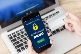 The State Bank of Vietnam has cleaned up 154 million bank accounts and flagged nearly 300,000 customers for suspected fraud. (Photo: VNA)