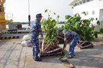 Saplings and supplies loaded onto Ship 638 for “Greening Truong Sa” programme (Photo: VNA) 