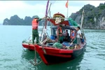 Officers of the Hon Gai port border gate guard station coordinate inspections and handle vessels engaged in illegal fishing activities in Ha Long Bay. (Photo: Quang Ninh Newspaper) 