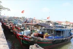 At present, all fishing vessels in Hai Phong have been registered and licensed for operation, with their data cleaned and cross-checked on VNeID, updated in the national fisheries management software system VNFishbase, and equipped with vessel monitoring system devices. (Photo: VNA) 