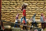 Workers transport rice at a warehouse in Jalandhar city, India. (Photo: ANI/VNA)