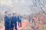 Delegates and visitors tour the artistic peach blossom exhibition, admiring outstanding works meticulously created by artisans and residents of the Nhat Tan peach blossom village. (Photo: VNA)