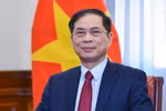 Deputy PM and Minister of Foreign Affairs Bui Thanh Son. (Photo: VNA)