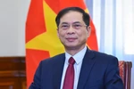 Deputy PM and Minister of Foreign Affairs Bui Thanh Son. (Photo: VNA)