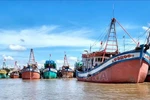 Fishing vessels anchor at Ganh Hao fishing port in Ca Mau province. (Photo: VNA) 