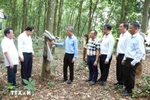 Ambassador Nguyen Minh Vu (third from left) visits the rubber plantation of Hoang Anh Mang Yang K Rubber Development Co., Ltd., a subsidiary of the Vietnam Rubber Group, in Ratanakiri province, Cambodia. (Photo: VNA) 