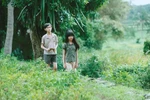 The Vietnamese feature film “Toi thay hoa vang tren co xanh” (Yellow flowers on the green grass) wins heart of international audiences (Photo: VNA)