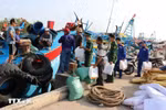 Border guards of Dong Thap province present gifts and raise awareness on IUU fishing prevention for fishermen at Vam Lang fishing port, Gia Thuan commune, Dong Thap province. (Photo: VNA) 