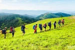 Visitors experience the Ta Nang–Phan Dung trekking route. (Photo: nhandan.vn) 