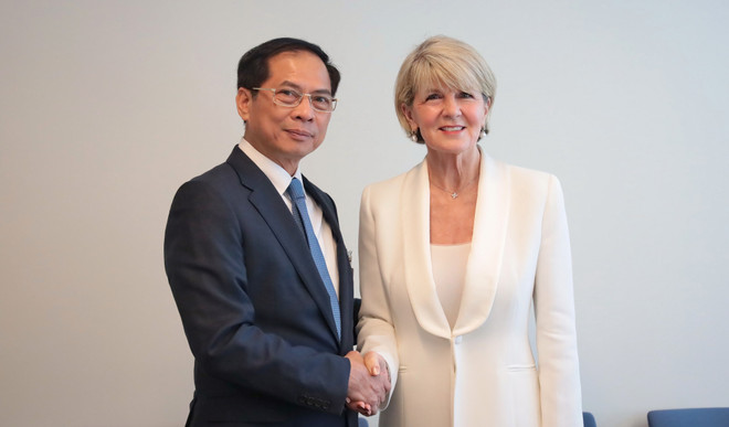 Deputy PM and FM Bui Thanh Son and Special Envoy on Myanmar Julie Bishop.jpg