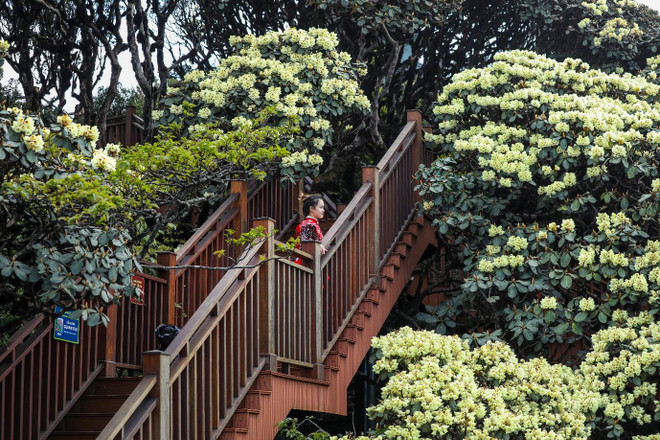 Sun World Fansipan Legend 1.jpg