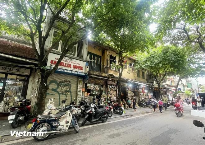 (Photo: VietnamPlus) Lan Ong street 2.webp