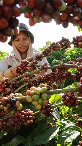 ESG stands for the first letters of environmental, social, and governance (Photo: FPT Digital)