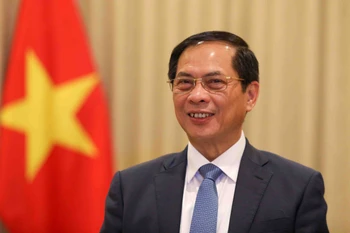 Deputy Prime Minister and Foreign Minister Bui Thanh Son (Photo: VNA)