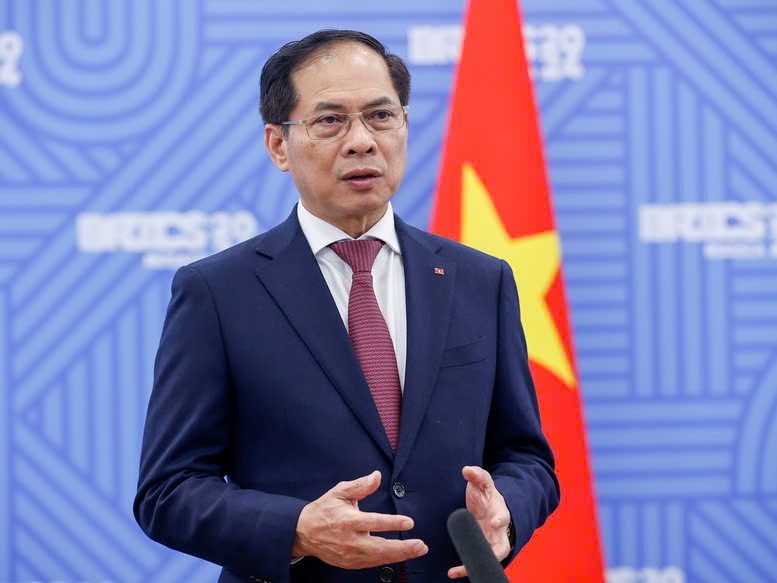 Deputy Prime Minister and Minister of Foreign Affairs Bui Thanh Son. Photo: Vietnam government portal