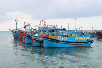 The province now has 3,649 registered fishing vessels, with 3,474 licensed to operate. (Photo: VNA)