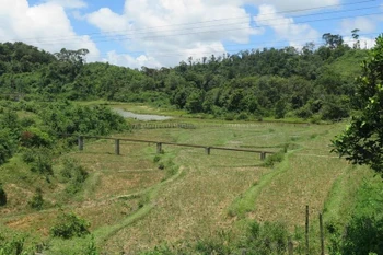 Induced seismicity has been continually observed in Kong Plong district since 2021. (Photo: VNA)